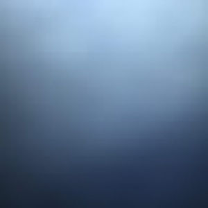 Meet your Posher, Liz